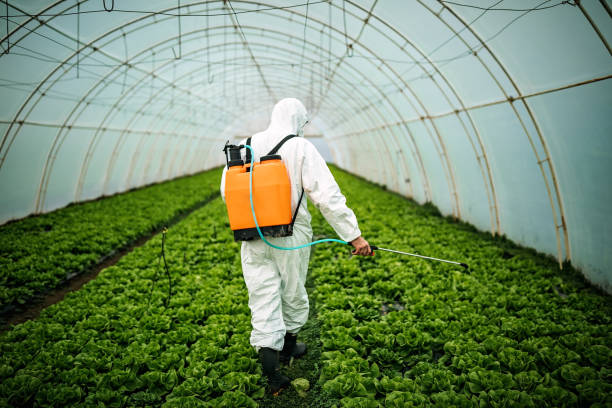 Best Pest Prevention Services  in Okauchee Lake, WI