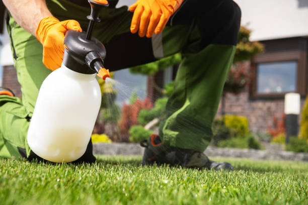 Best Best Pest Control Companies  in Okauchee Lake, WI