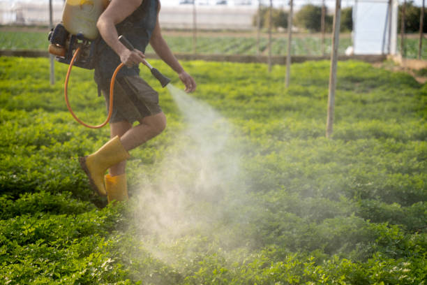 Flea Control Services in Okauchee Lake, WI
