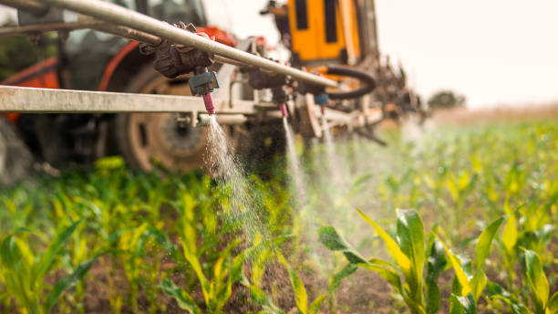 Best Mosquito Control Services  in Okauchee Lake, WI