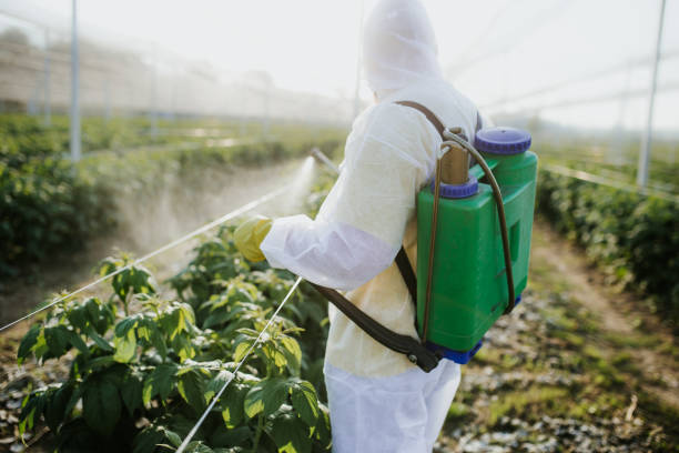 Professional Pest Control in Okauchee Lake, WI